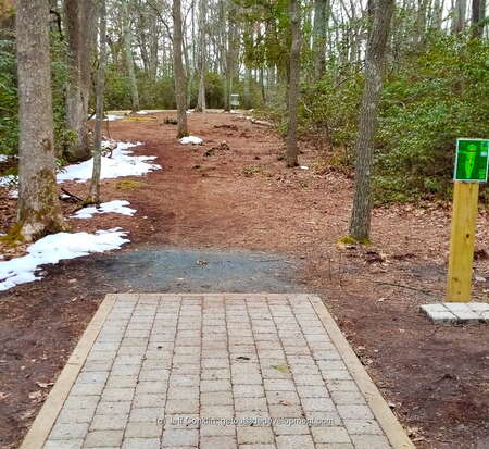 Central Jersey Disc Golf