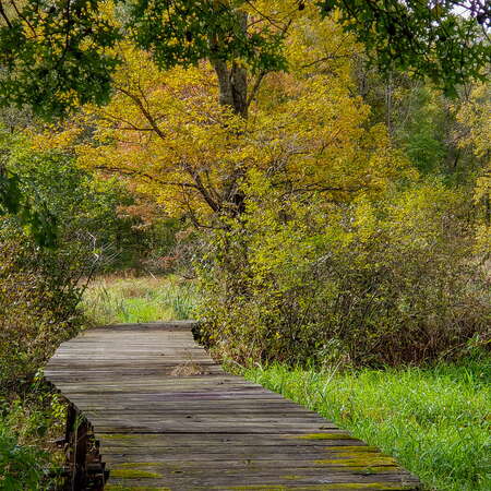 Photos from our hike through Lord Stirling Park (2018) - 10/24/2018
