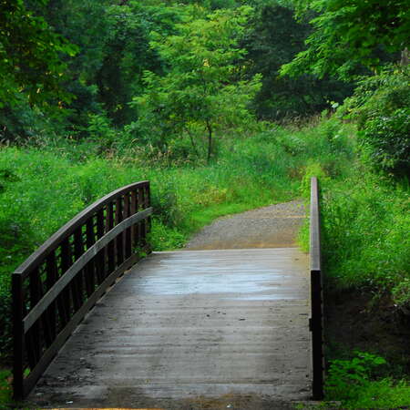 A short bike ride in Michael J. Tighe Park (2009) - 06/18/2019