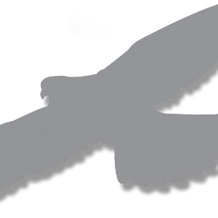 Conserve Wildlife Foundation of NJ