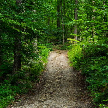 Hiking Jenny Jump - 08/27/2018