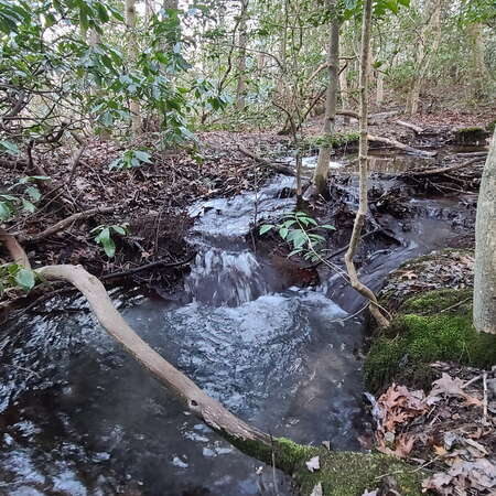 A fun hike, starting from the Hospital Rd parking lot - 05/12/2021