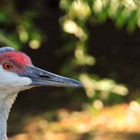 Cape May County Parks
