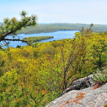 Abram S. Hewitt State Forest