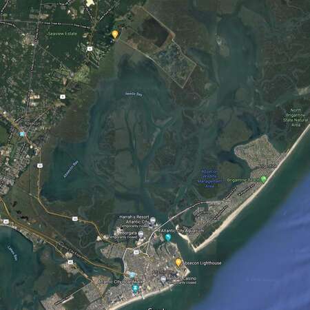 Absecon Wildlife Management Area