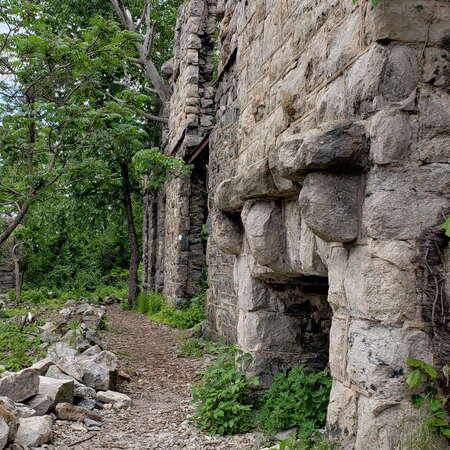 A hike at Ramapo Mountain State Forest - 07/27/2021