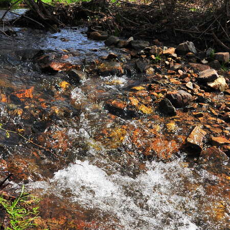 A Springtime Hike at Spruce Run ~2010 - 04/23/2024